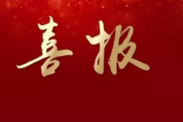桐鄉市三級干部大會(huì )上，同安建設榮獲兩項榮譽(yù)！